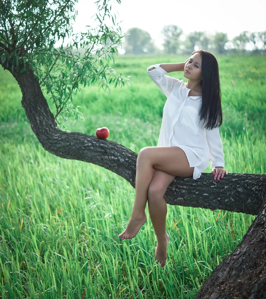 Menina bonita perto da árvore — Fotografia de Stock
