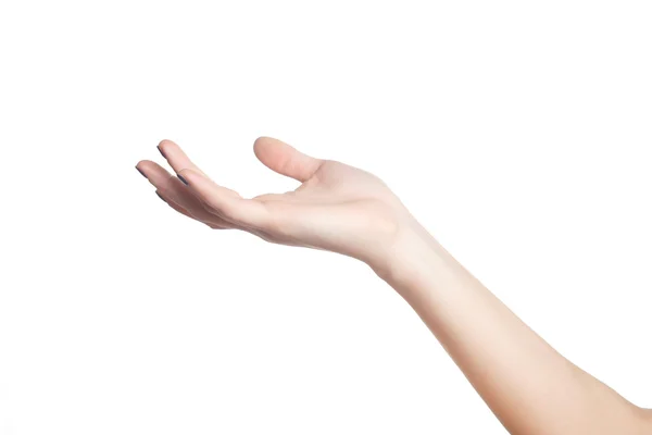 Vrouwelijke hand op een witte achtergrond — Stockfoto
