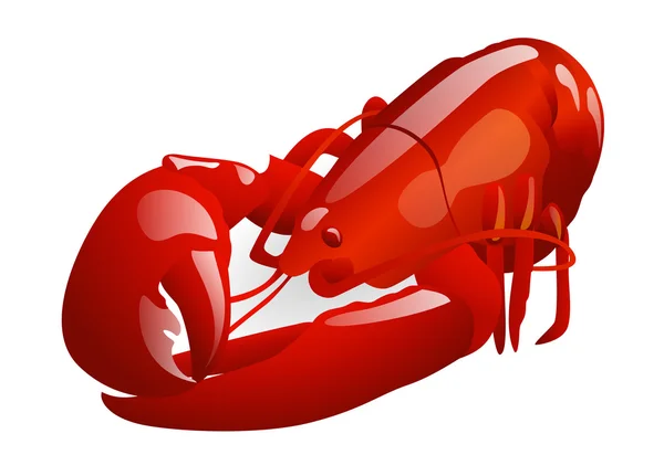 Isolated Red lobster — Stock Vector