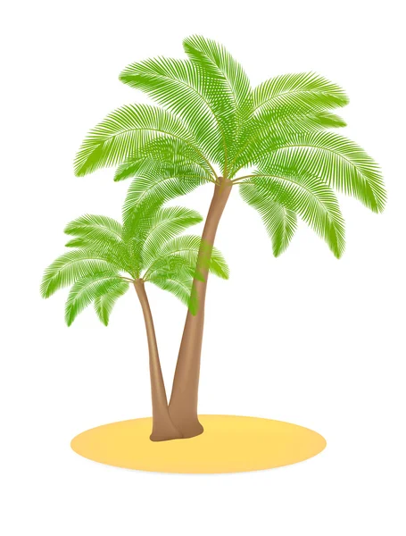 Palmy na białym tle (dwa drzewa) w piasku (wysepka) — Wektor stockowy