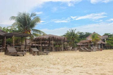 Plajda Palm Trees kumsalında Tropikal Sahilde Sandalyeler