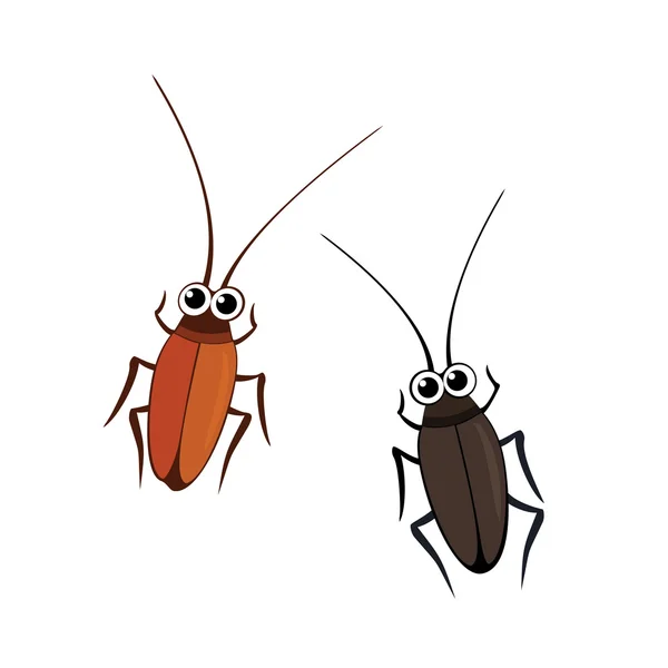 Cockroaches — Stock Vector