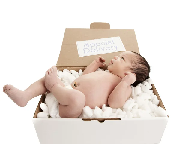 Doručení balíku obsahujícího novorozeně v plenka — Stock fotografie