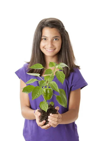 Menina adolescente bonito segurando planta verde — Fotografia de Stock