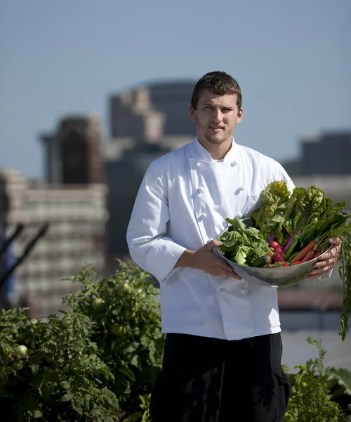 Шеф-повар собирает травы с крыши городского ресторана — стоковое фото