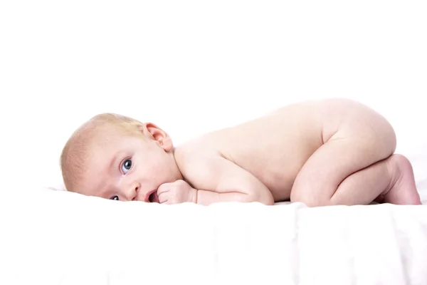 Immagine di bambino caucasico sveglio e coccolato su una morbida coperta bianca — Foto Stock