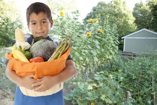 Menino hispânico cresce vegetais orgânicos em seu jardim quintal — Fotografia de Stock