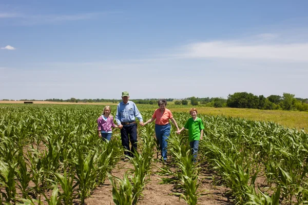 Una orgullosa abuela trabajadora del medio oeste y abuelo, agricultores, están con sus nietos en un campo de maíz — Foto de Stock