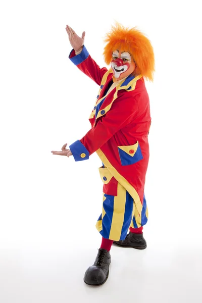 A professional male clown — Stock Photo, Image