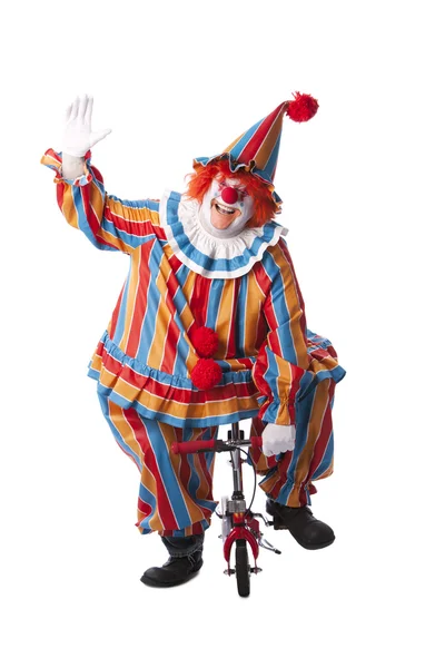 Clown: pagliaccio adulto in bicicletta Fotografia Stock