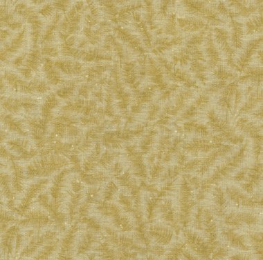 bir yüksek çözünürlüklü soyut altın fern veya yaprak desenli