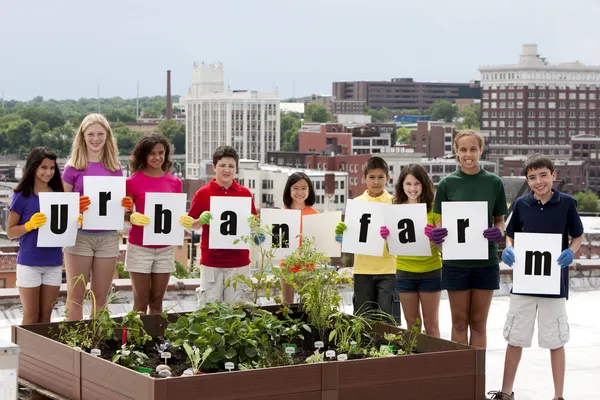 Un gruppo eterogeneo di nove bambini di etnie diverse che stanno orgogliosamente vicino a un tetto urbano e portano un segno Foto Stock Royalty Free