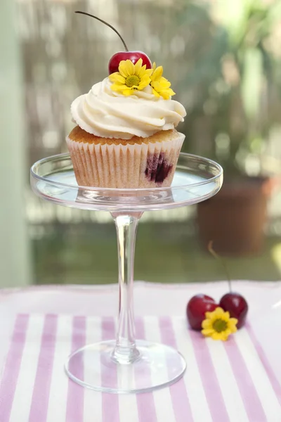 Cupcake con ciliegie e fiori — Foto Stock