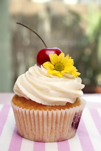 Cupcake med körsbär och blomma — Stockfoto