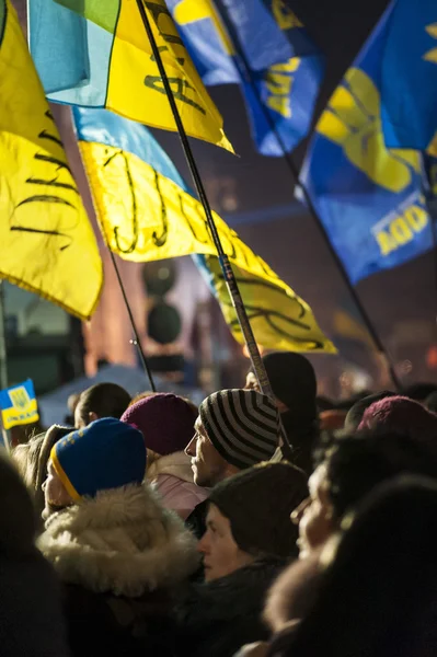 Maidan - aktivist under rally på independence square med flaggor Royaltyfria Stockbilder