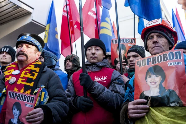 Maidan - demonstrant på rally att spara journalist chornovol — Stockfoto