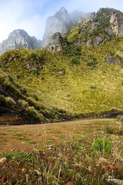 Anderna på mojanda - ecuador — Stockfoto