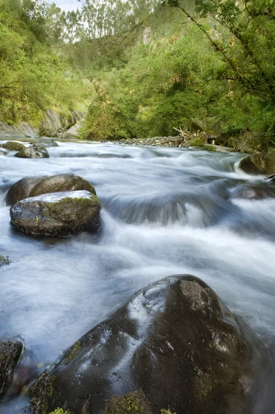 Ecology scene. River flow — Stock Photo, Image