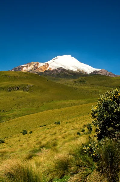 Cayambe Equador — Fotografia de Stock