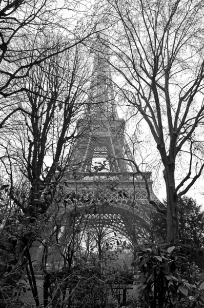 Эйфелева башня черно-белая в холодный зимний день с деревьями — стоковое фото