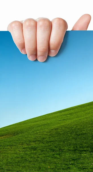 Fondo del campo de verano: cielo azul y hierba verde —  Fotos de Stock