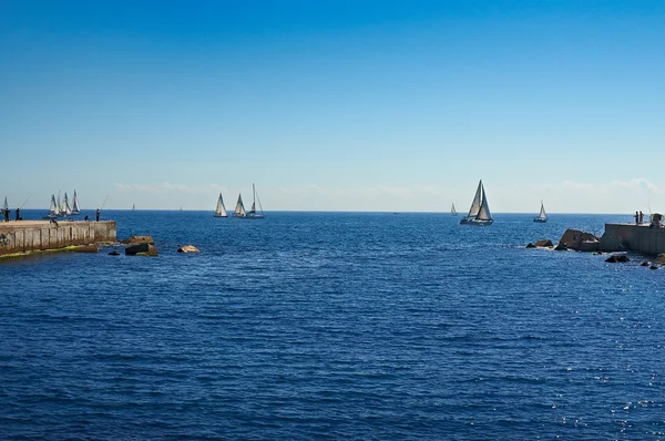 Blue sky and ocean and sailboats — Stock Photo, Image