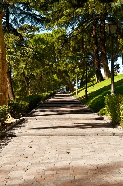 Camino en el parque con árboles y hierba — Foto de Stock