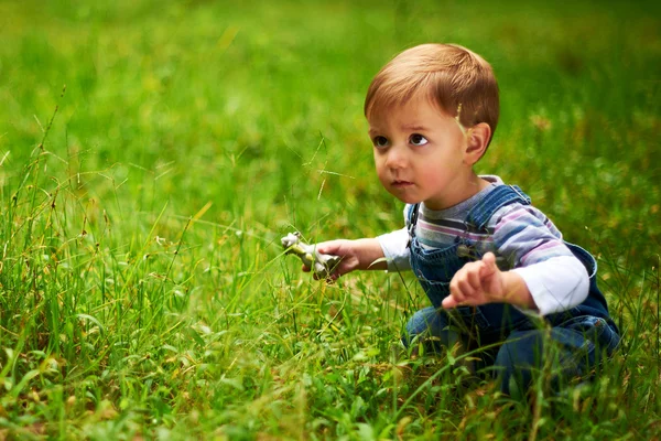 Piccolo bel ragazzo che gioca nel parco — Foto Stock