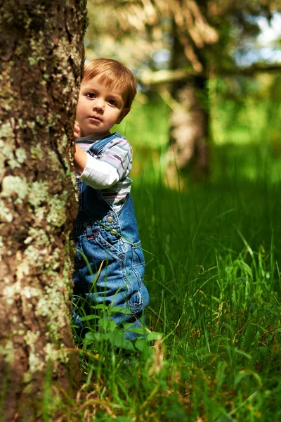 Pequeño niño hermoso jugando en el parque —  Fotos de Stock