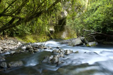Nehrin akış. Ekoloji sahne