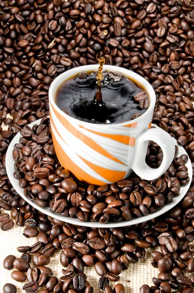 Kaffeeklatsch — Stockfoto