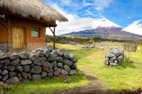 Cotopaxi berg — Stockfoto