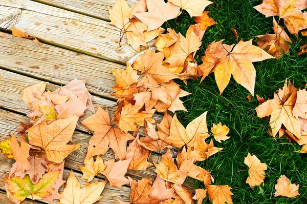 Autumn leaves and wood — Stock Photo, Image