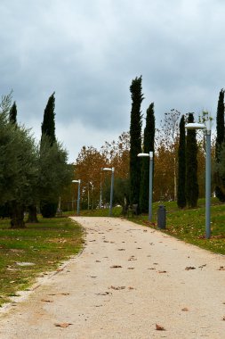 sonbahar sahne yolu ve ağaçlar