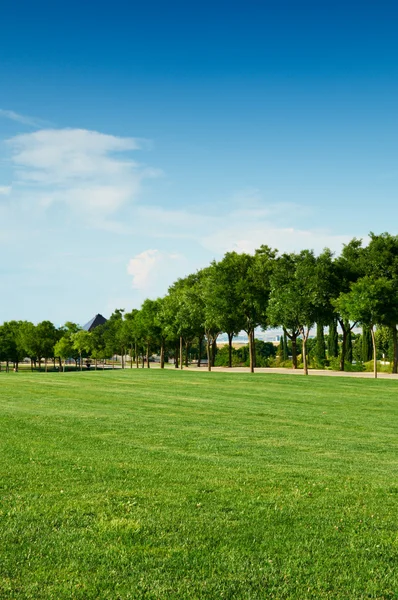 Yaz alan mavi gökyüzü ve yeşil çimen — Stok fotoğraf
