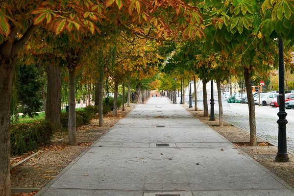 Autumn scene pathway and trees — Stock Photo, Image