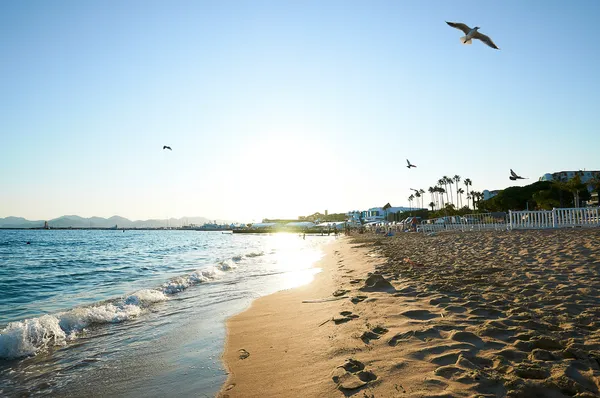 Playa y mar Mediterráneo en un día de verano, Cannes, Francia —  Fotos de Stock