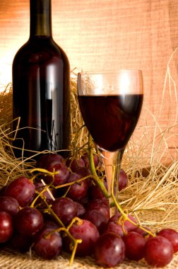 üzüm ve şarap