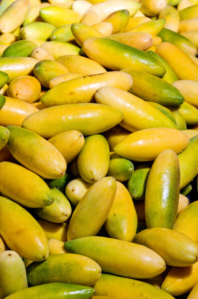 Tacso, exotic fruit from South America