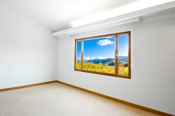 Leere große neue Zimmer mit einem schönen Blick auf die Landschaft — Stockfoto