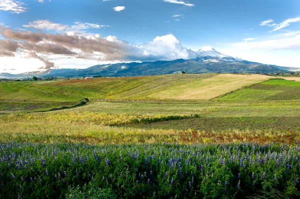 Landskap och snö berg — Stockfoto