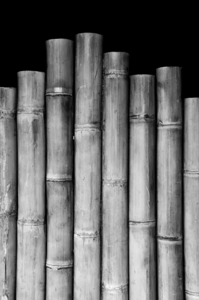 Bamboo Texture — Stock Photo, Image