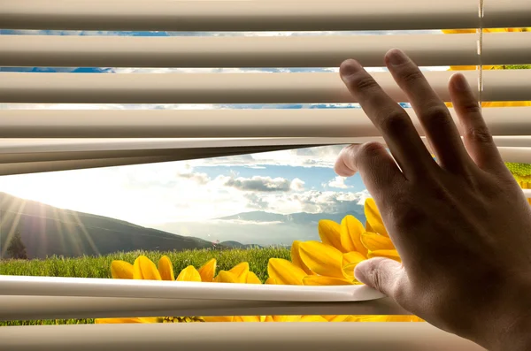 Hand opening window blinds with beautiful landscape view — Stock Photo, Image
