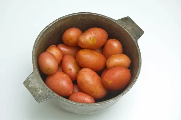 Almuerzo — Foto de Stock