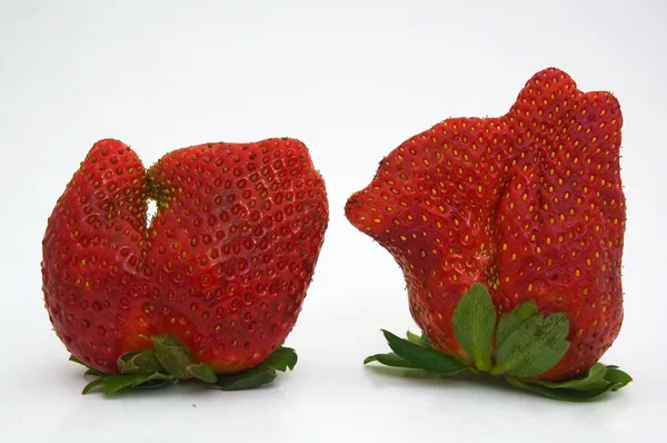 Strawberry fantasy — Stock Photo, Image