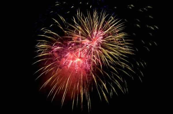 Fireworks, salute. Stock Image