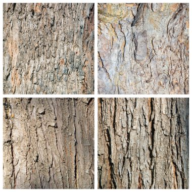 arka planlar ve dokular koleksiyonu