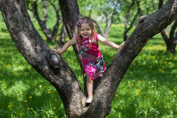 Bahar bahçe içindeki kız Stok Fotoğraf