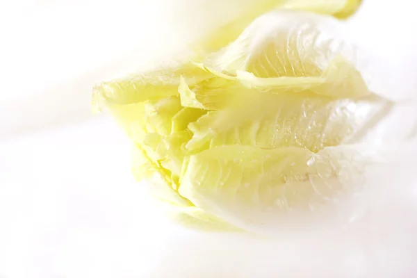 hindiba salatası tatlı