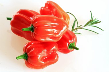 Red habanero on white background with rosemary clipart